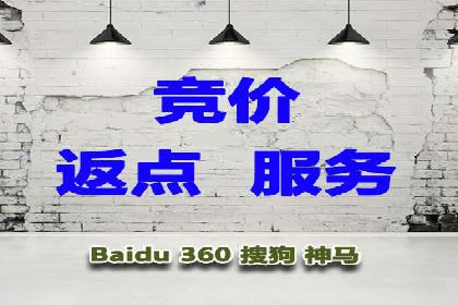 百度推广平台案例剖析：揭秘广告投放策略